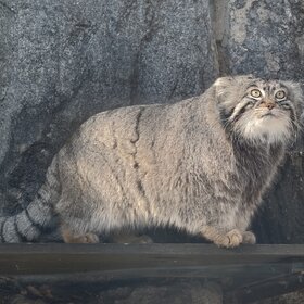 ����. �����. ����� ������