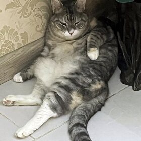 ����. �������� �������. �����, �����, ��� � ����� ������� ������.