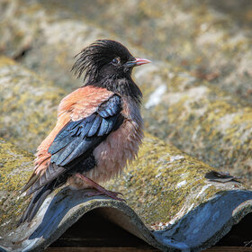 ����� ���� ��������. �� ����� ���� ������...