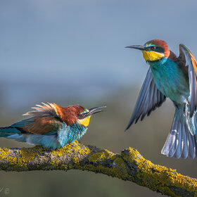 ����� ���� ��������. �� ����!