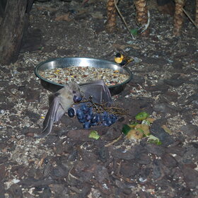 ����. ����. �� �������