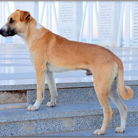 ���� ��������. ����-���-����. ���-��� ��