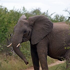 ����. ����� ��������. �� ��������, �� ��������.