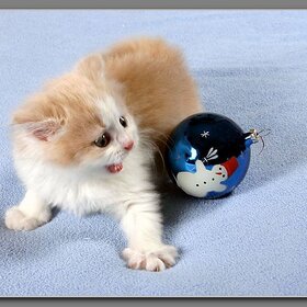 ���� ��������. �� ������� ����� ���!