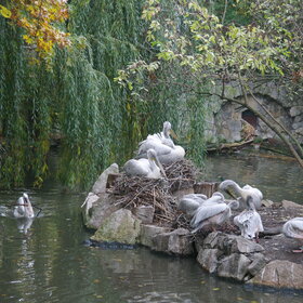 ����. �����. ��������