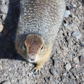 �������