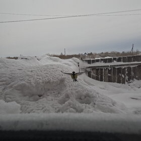 ����. ���� ��������. �������