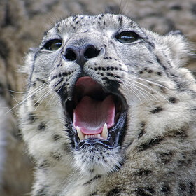 ������� � ��� � ��������� ��� ������