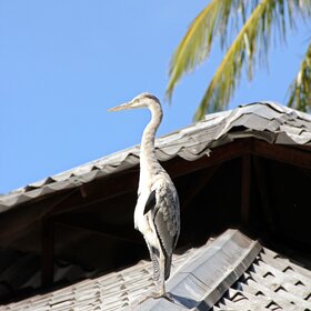 �� ������ ������.