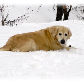 ����. �������������. ������