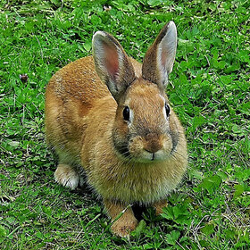 ����. ������. �� ����� ������� ���