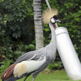 ����. �����. ��, ����� ��������.