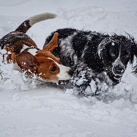 ����� ���� ��������. ������� !!!