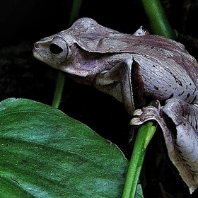 ����. ���� ��������. �� �������