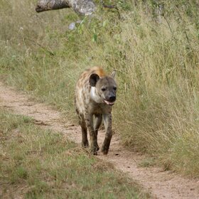 ����. ����������. ������� �������� ����.