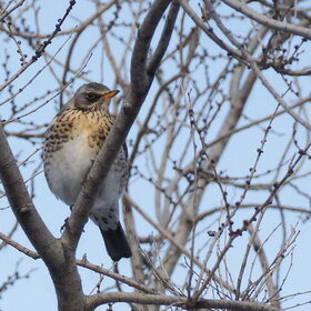 ����. ���� ��������. �����-��������