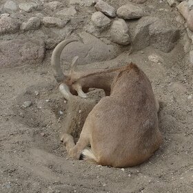 ����. �������������. �������� �����