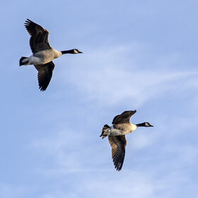 ����. ����� ���. ������� � ����