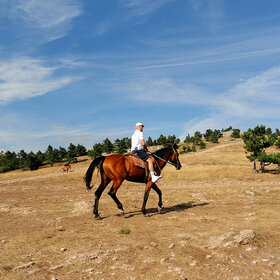 ����. ����. ����������?