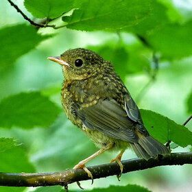 ����. �����. ������ ���������