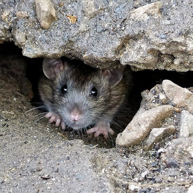 ����. �������. ��������� ���� ���!