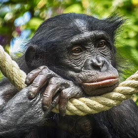 ����. ����� ��������. ��������