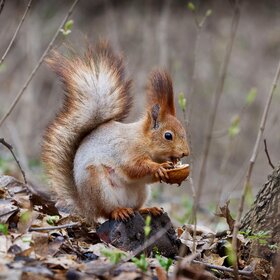 ����. �����. �����