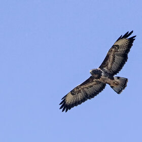 ����� � ����