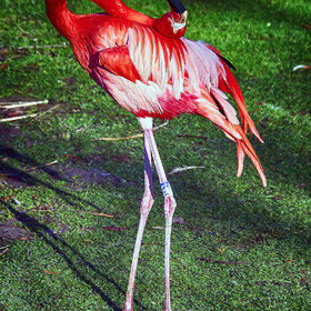 ����. �����. ���������� �� �����