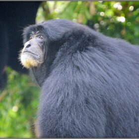 ����. �������. �������