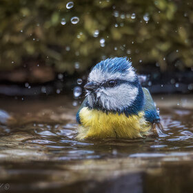 ����. ���� ��������. �������� ������!