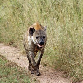 ����. ��������� �����. ������� ������� �������� ����.