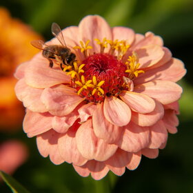 �������