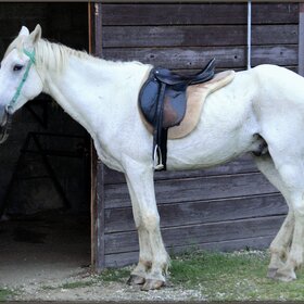 ����. ���� ��������. ����� �������