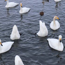 ����. �����. ��������� �����