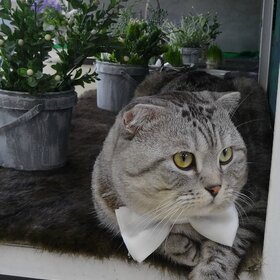 ����� ���� ��������. � ����� ����