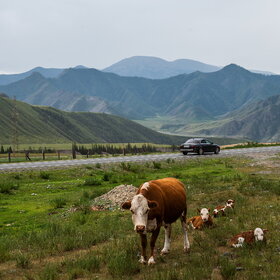 �������� ��������