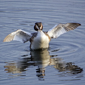 ����. ���������. ��������� ������