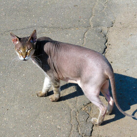 ����. �������. ��