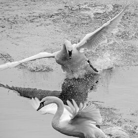 ����. ʸ���. ��������� ����