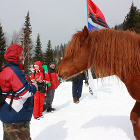 ����� ���� ��������. �������� ��������