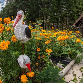 ����. �������. �������