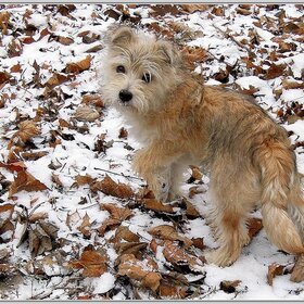 �� ������� �����.