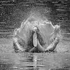 ����. �����. ������� �������