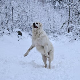 ����. ������ � ��������. �������� �����