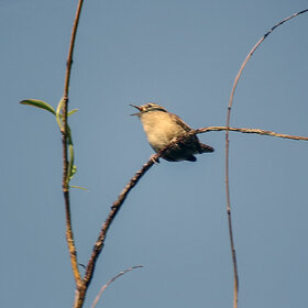 ����. ���������. ������ ���������