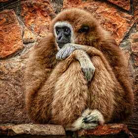 ��������� ������