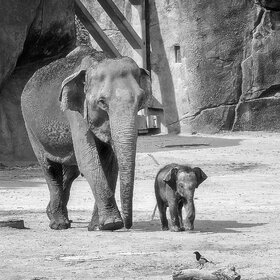 ����. ʸ���. �������� � ������