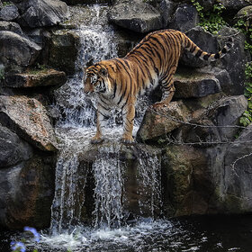 ����. �������. � ��������