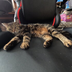 ����. ���� ��������. ������